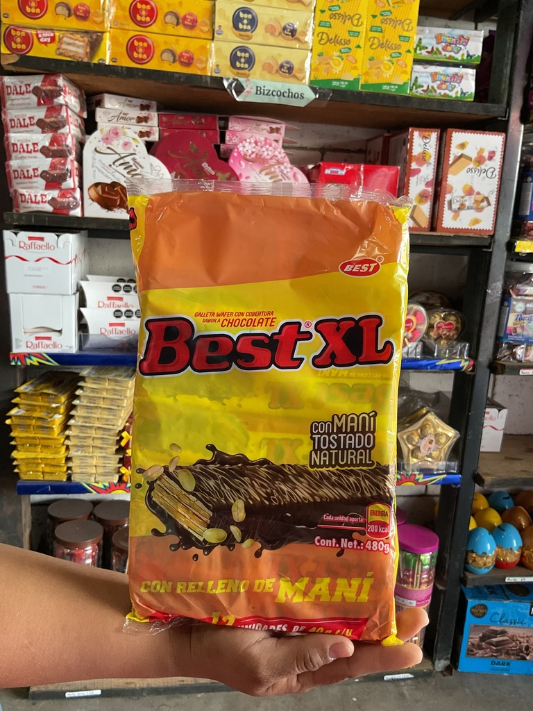 GALLETA BEST XL 1X24X12