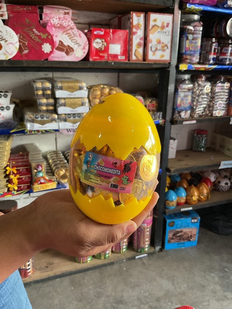 HUEVO MONEDA CALOC 1x12x120